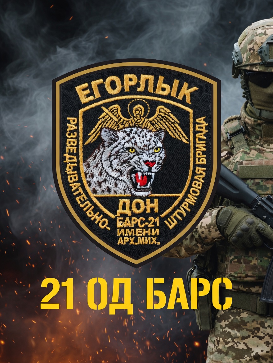 Логотип БАРС-21 | Казачья бригада ДОН